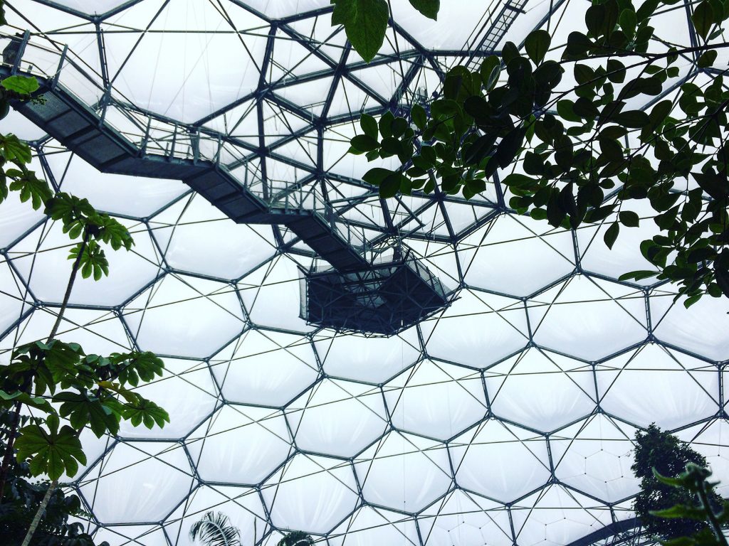 the eden project pictures