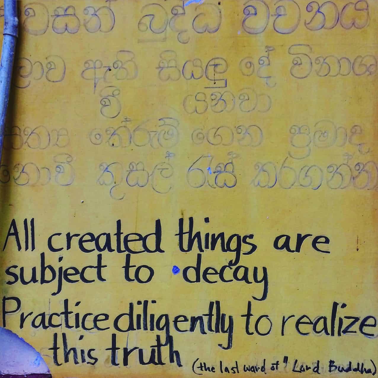buddha words 