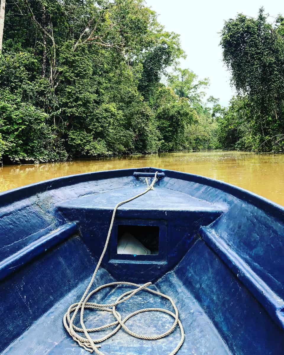 boat on kinabatangan river borneo