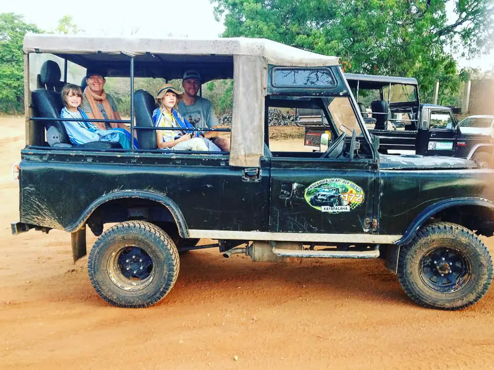 yala national park on safari