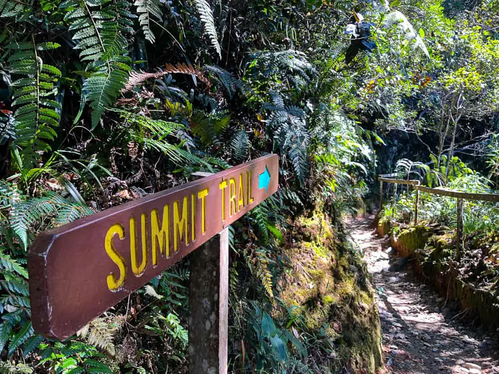 trekking in borneo