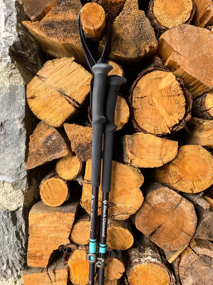 Best trekking clearance poles 2019