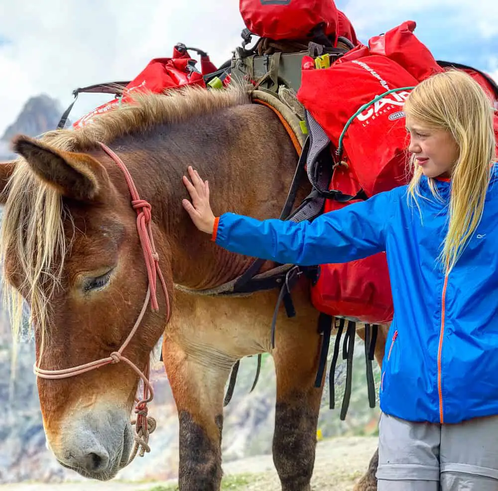 tour du mont blanc mules