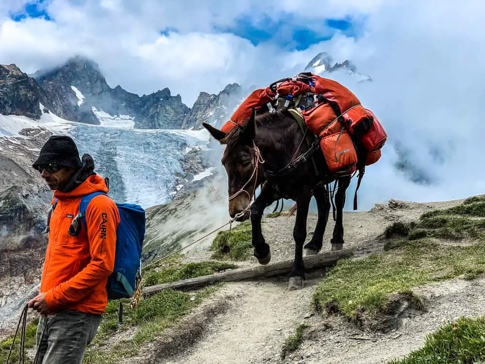 Hike the Tour du Mont Blanc  Self-Guided & Guided Hikes around