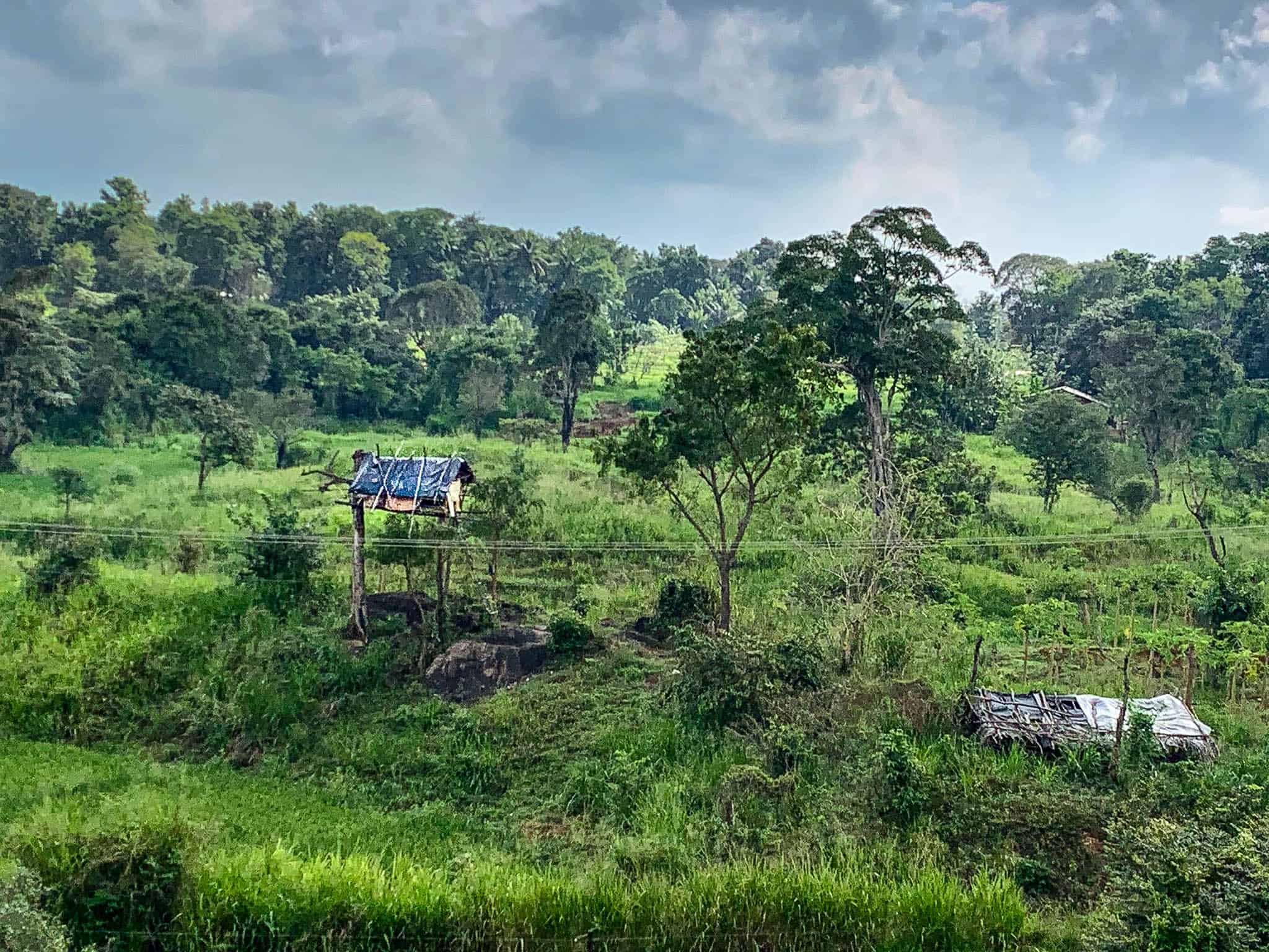 Sri Lanka agricultural landscape
