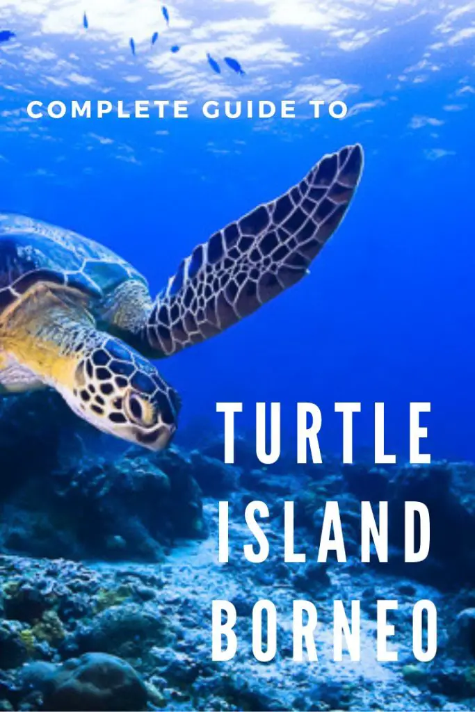 turtle island borneo