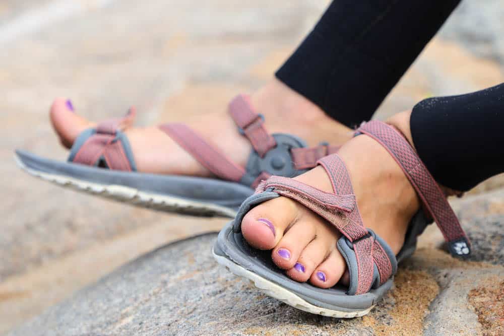 Jack cheap wolfskin sandals